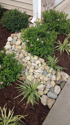 some rocks and plants in front of a house