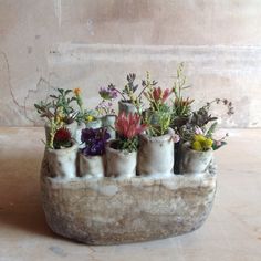 there is a planter made out of cement with flowers in the potted ones