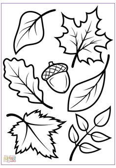 leaves and acorns coloring page