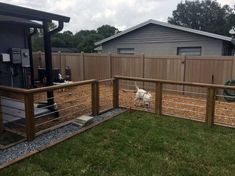 a fenced in backyard with a dog on the grass