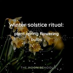 13 Best Winter Solstice Rituals for 2024 – How to Celebrate Yule in Style! | The Moon School How To Celebrate Yule, Celebrate Yule, Winter Solstice Rituals, Ritual Ideas, Feminine Dark, Goddess Magic, Winter Solstice Celebration