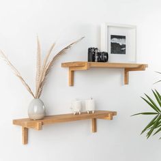 two wooden shelves with plants and candles on them next to a potted palm plant