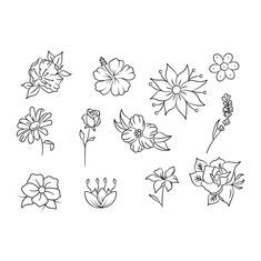 flowers drawn in black and white on a white background