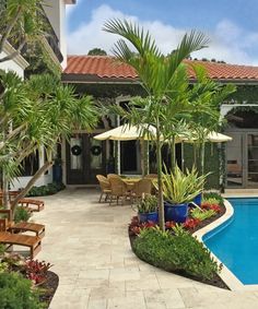 a house with a swimming pool and palm trees in the front yard, surrounded by greenery