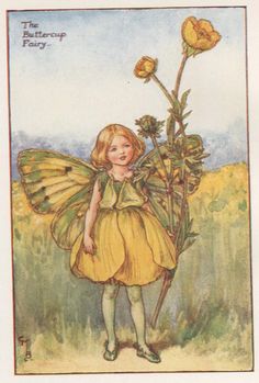 Flower Fairies: THE BUTTERCUP FAIRY Vintage Print c1930 by | Etsy Flower Fairies Books, Buttercup Flower, Fairy Vintage, Summer Fairy, Psy Art, Hur Man Målar, Vintage Fairies