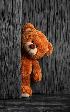 a brown teddy bear peeking out from behind a wooden wall