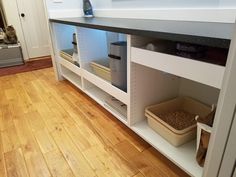 a cat sitting on top of a wooden floor next to a shelf filled with food