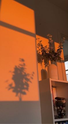 the shadow of a potted plant is cast on an orange wall in front of a bookshelf