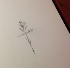 a pencil drawing of a flower on a piece of paper that is laying on a table