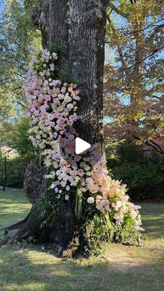 a large tree with flowers growing on it