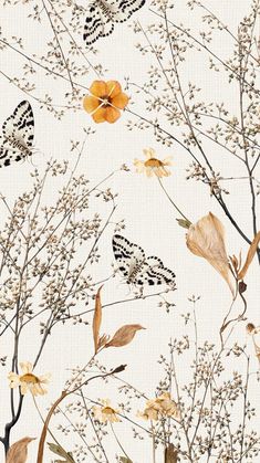 an image of flowers and butterflies on a white background