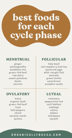 Best Foods to Eat for Your Menstrual Cycle Phases Period Health, Cycle Phases, Follicular Phase, Luteal Phase, Seed Cycling, Period Care