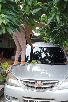 a woman standing on the hood of a silver car with grapes hanging from it's roof