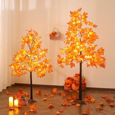 two lighted trees in the middle of a room with fall leaves on the floor and pumpkins scattered around them