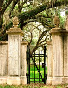 an iron gate is surrounded by stone pillars and trees with spanish moss hanging over them