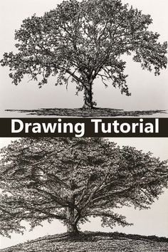 an image of a tree with the words drawing tutor above it