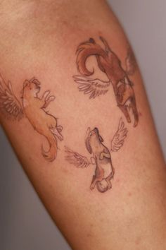 Memorial dog tatt Dog Tattoo Ideas Memorial Chihuahua, Passed Dogs Tattoos, Multi Pet Memorial Tattoo, Commemorative Dog Tattoo, Dog And Owner Tattoo, Simple Dog Memorial Tattoo, Dog With Wings Tattoo, Passed Dog Tattoo, Dog Print Tattoos