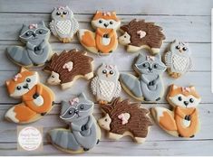 some decorated cookies are arranged in the shape of an owl, raccoon and hedgehog