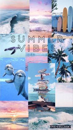 a collage of photos with the words summer vibes