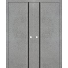 an image of a double door with two knobs on the front and side panels