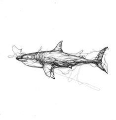 a black and white drawing of a shark with lines on it's body, in the water