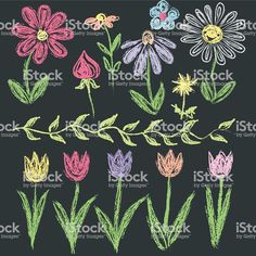 flowers drawn with colored chalk on blackboard royalty photo