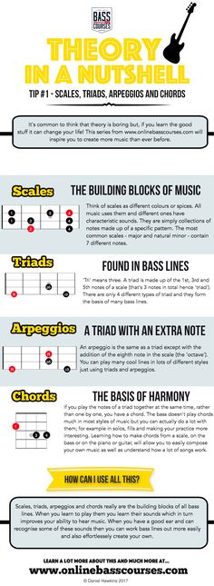 the history of guitar info sheet