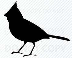 a black and white silhouette of a bird