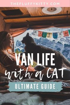 a woman sitting in bed next to a cat with the words van life with a cat ultimate guide