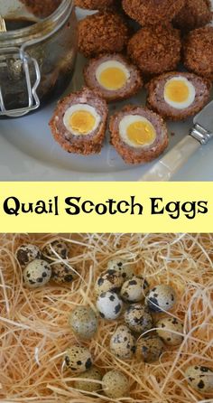 quail scotch eggs on a plate and in a bowl