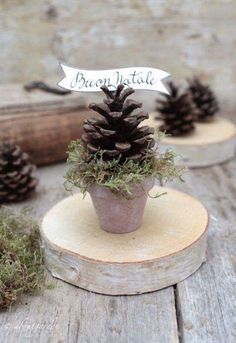 small pine cone planter with moss growing in it on top of a piece of wood