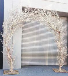 two white trees are standing in front of a garage door with shutters on the side