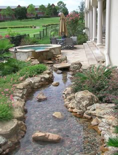 a small stream running through a lush green yard