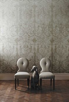 two white chairs sitting in front of a wall with a dog on the floor next to them