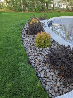 a garden with rocks and plants in the grass next to a swimming pool that is surrounded by green grass