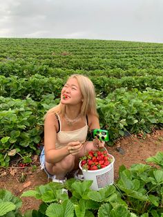 a woman kneeling down in a strawberry field holding a bucket of strawberries and looking up into the sky