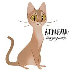 an image of a cat that is sitting down with the caption athena suppure