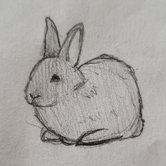 a pencil drawing of a rabbit sitting down