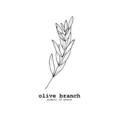 the logo for olive branch symbol of peace