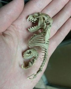 a hand holding a small dinosaur skeleton in it's palm