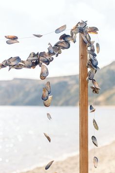 a wooden pole with shells hanging from it's sides on the beach next to water