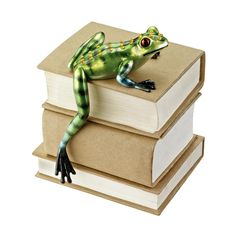 a green frog sitting on top of three books