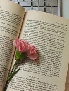 a pink flower sitting on top of an open book