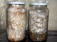 two jars filled with food sitting on top of a table