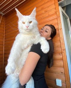 a woman holding a large white cat in her arms