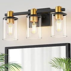 three light bathroom fixture with clear glass and gold accents on the wall above it is a mirror