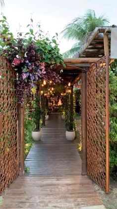 a wooden walkway with potted plants on each side and lights hanging from the ceiling