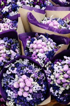 purple and white flowers are in paper bags