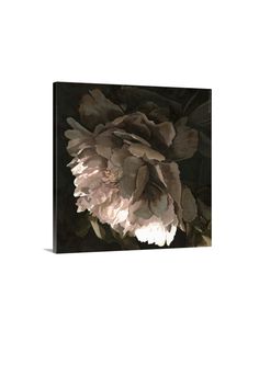 a black and white floral painting on a wall