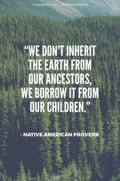 a forest filled with lots of trees next to a quote from native american prover